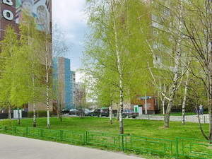 Зеленоград, 14 район зеленый двор
